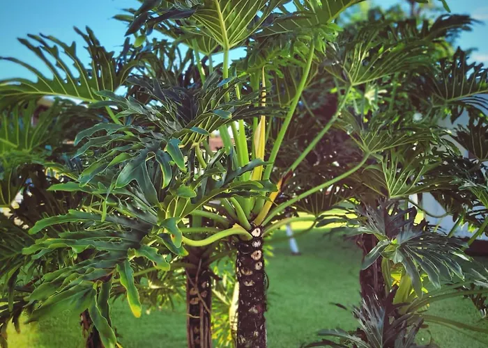 Chacara Estrela do Mar